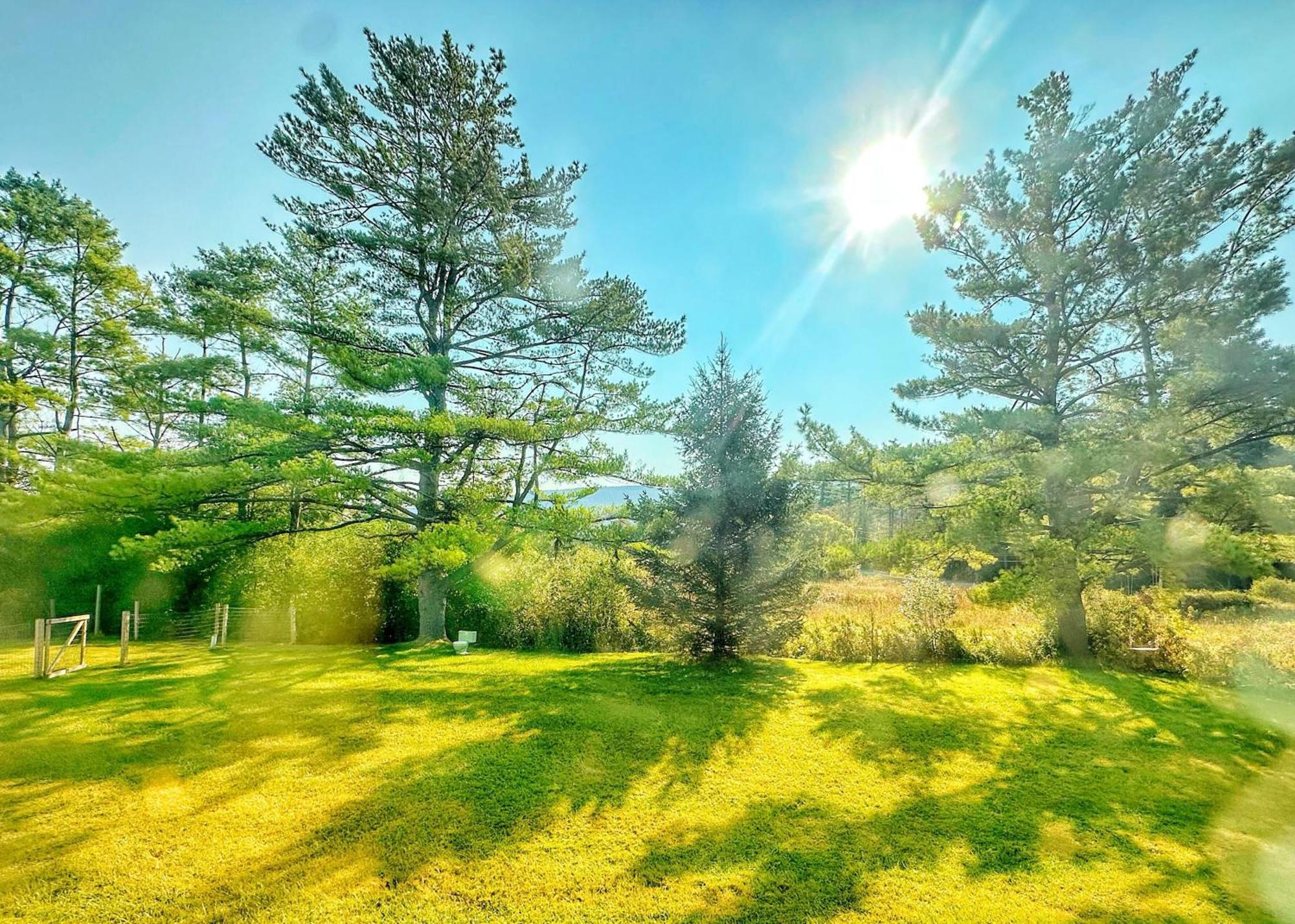 Brittany Motel Sunderland Εξωτερικό φωτογραφία